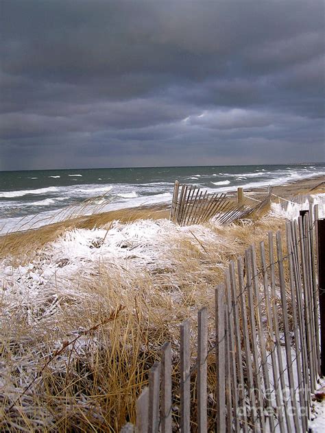 Cape cod winter. Things To Know About Cape cod winter. 